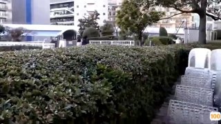 《成人福利照片视频在线播放》国语剧情在线观看-机长影院